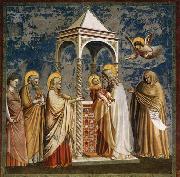 Presentation of Christ at the Temple GIOTTO di Bondone